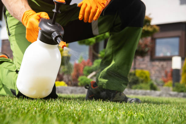 Best Best Pest Control Companies  in Mustang Ridge, TX