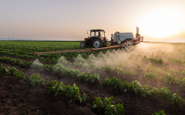 Best Insect Control  in Mustang Ridge, TX