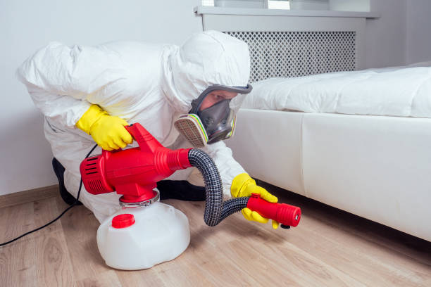 Best Local Pest Control Services  in Mustang Ridge, TX